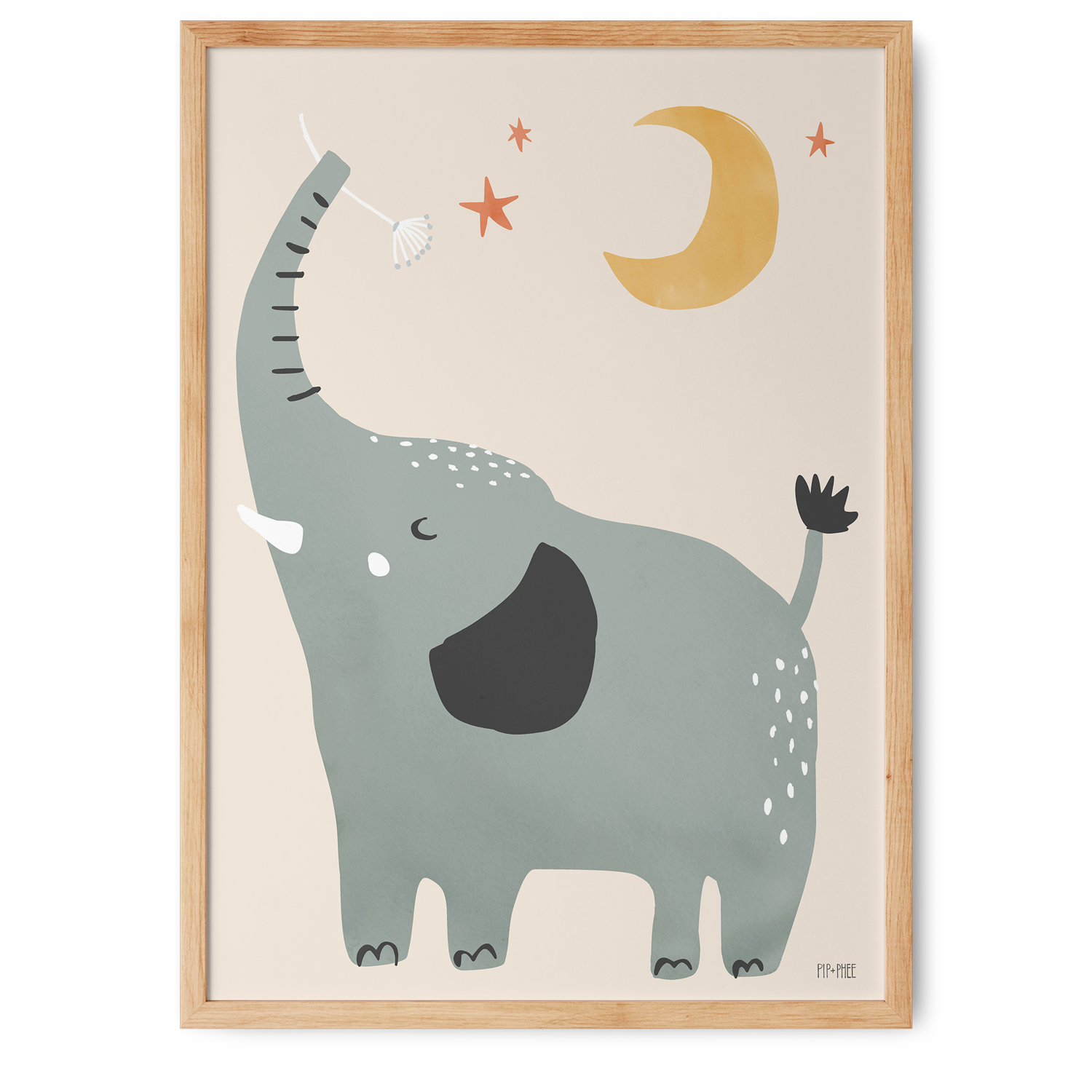 Elefante | Jungle Club