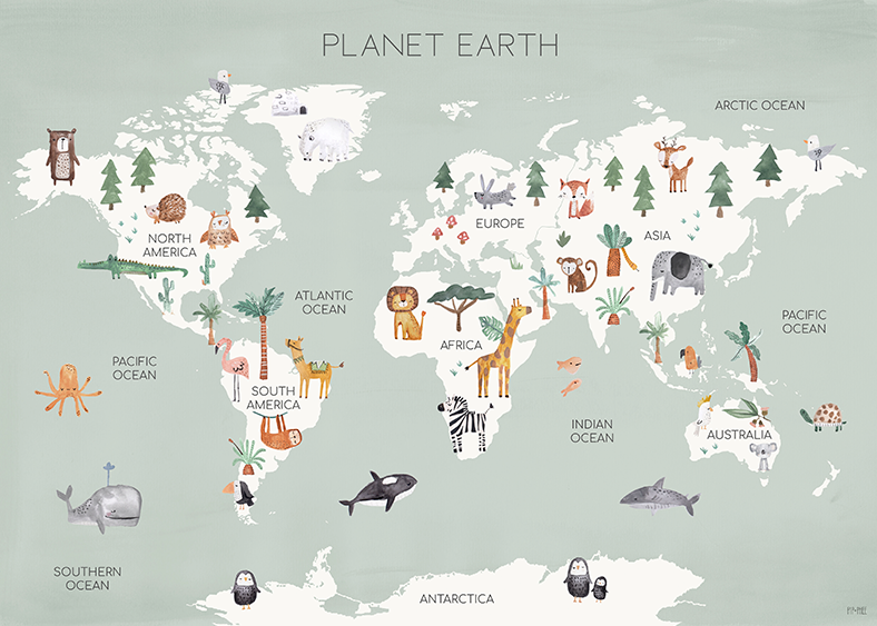 Planeta Terra