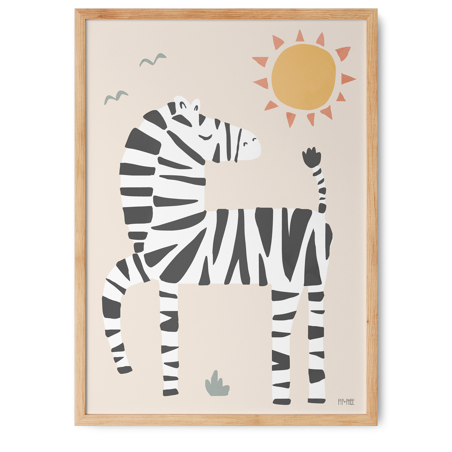 Zebra | Jungle Club