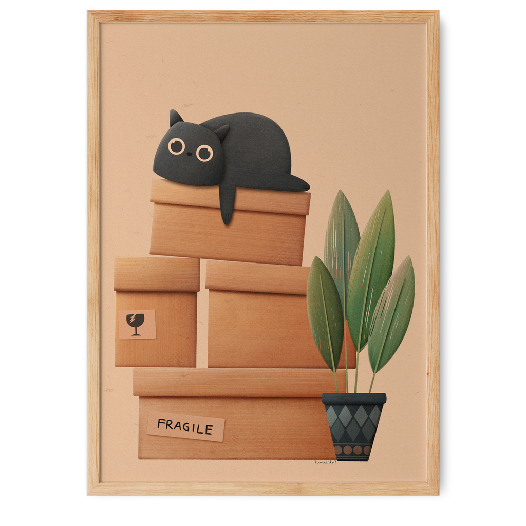 Gato, fofo e frágil