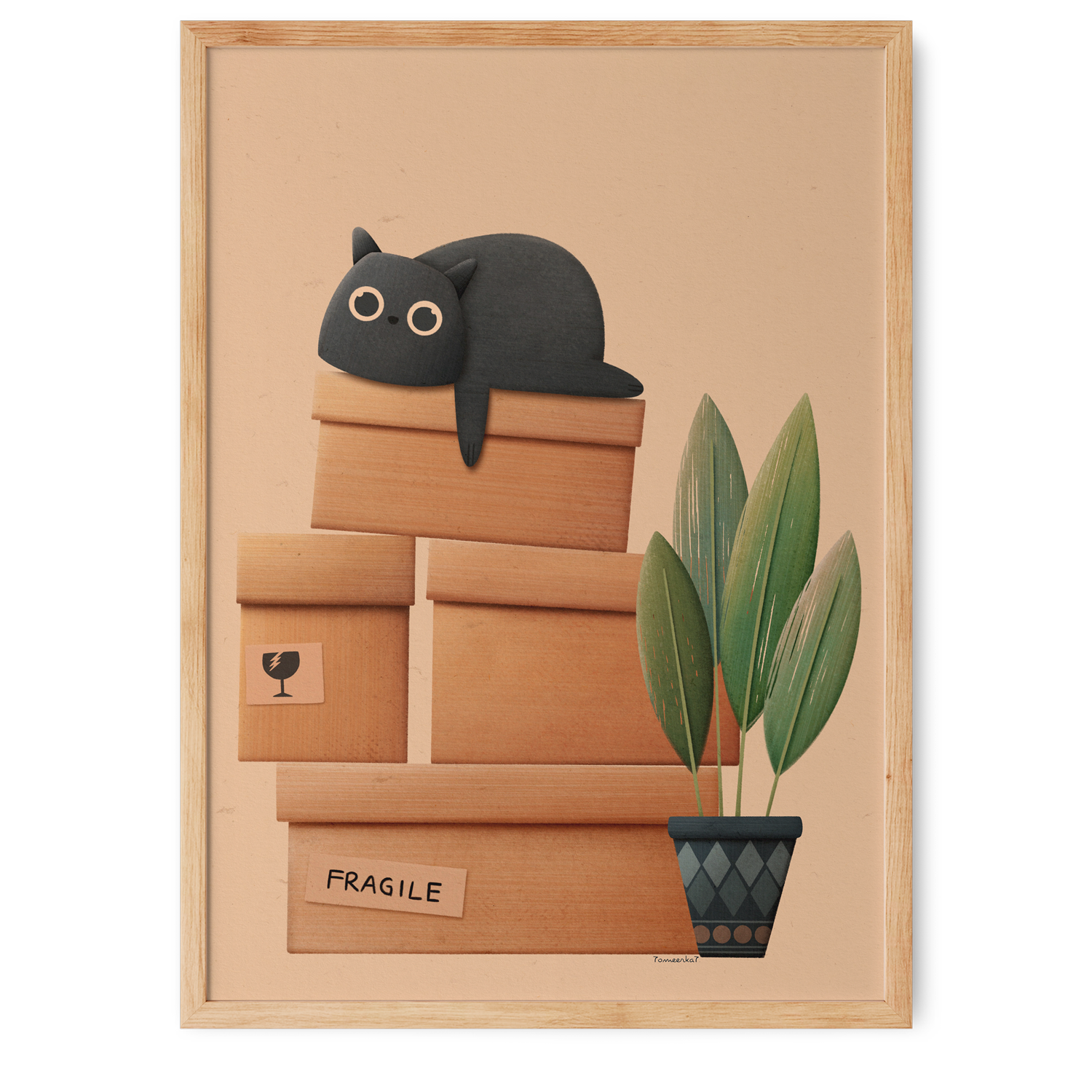 Gato, fofo e frágil