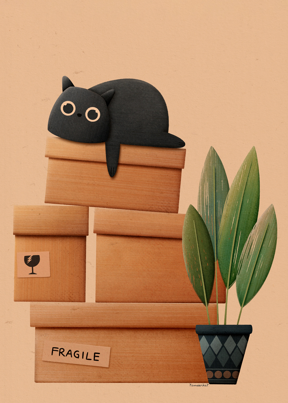 Gato, fofo e frágil
